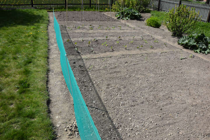 GÖBEL Universalzaun